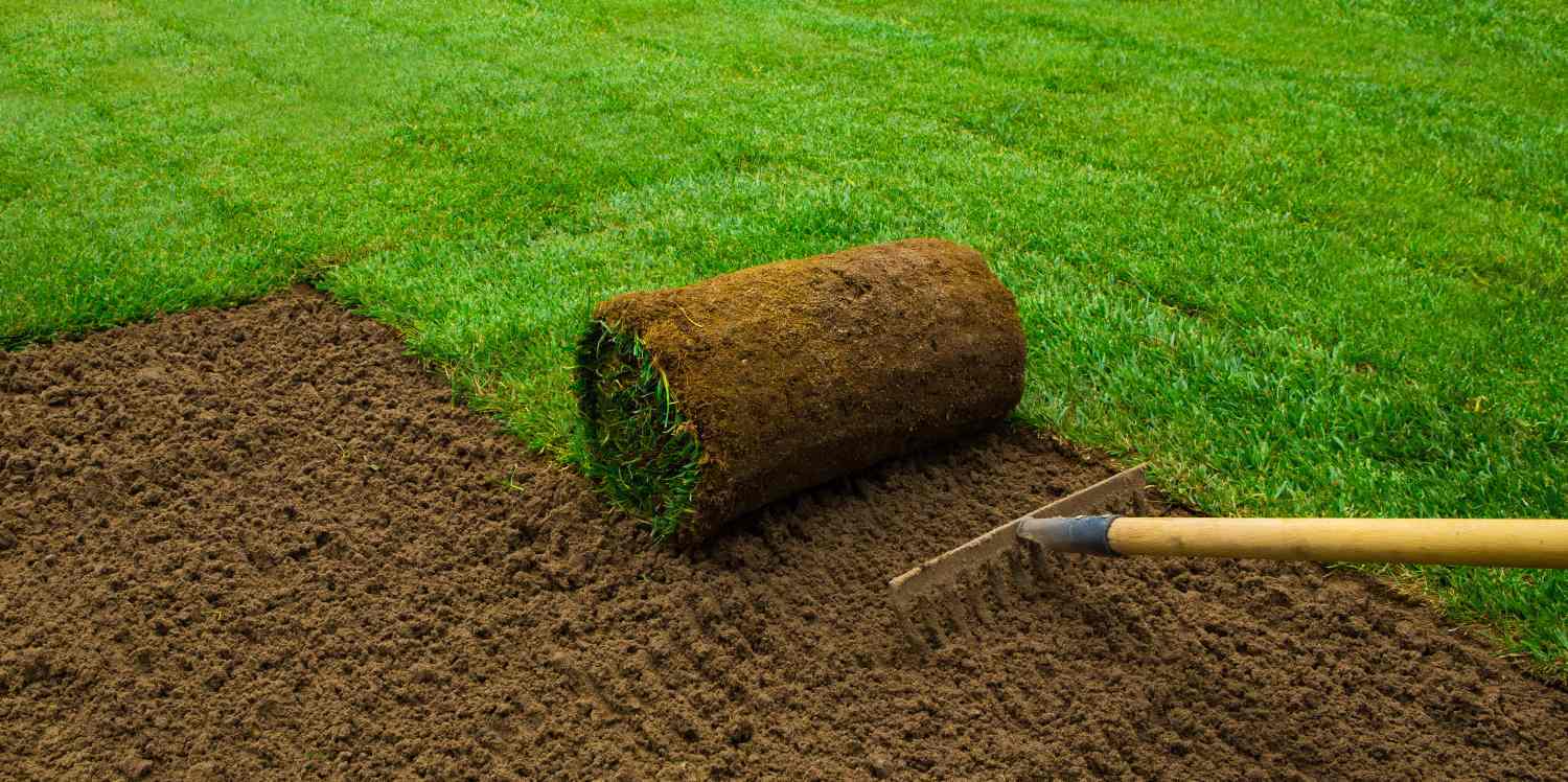 New Grass (Turfing)